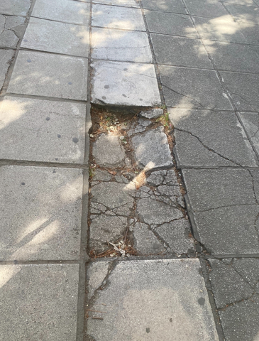 Φωτογραφία 4