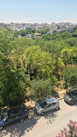 Φωτογραφία 3