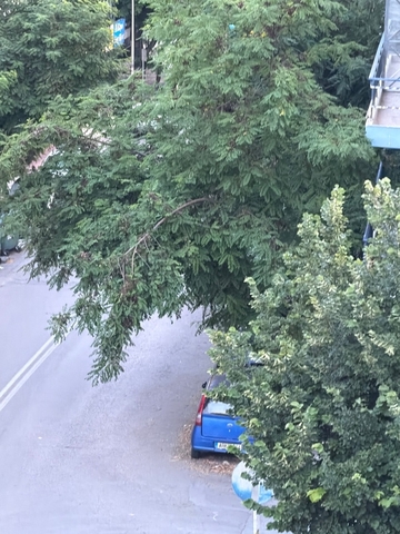 Φωτογραφία 2