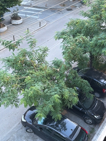 Φωτογραφία 4