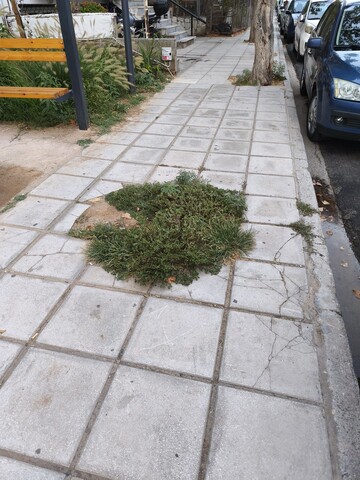 Φωτογραφία 4