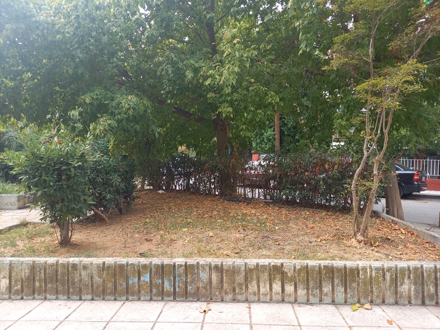 Φωτογραφία 9