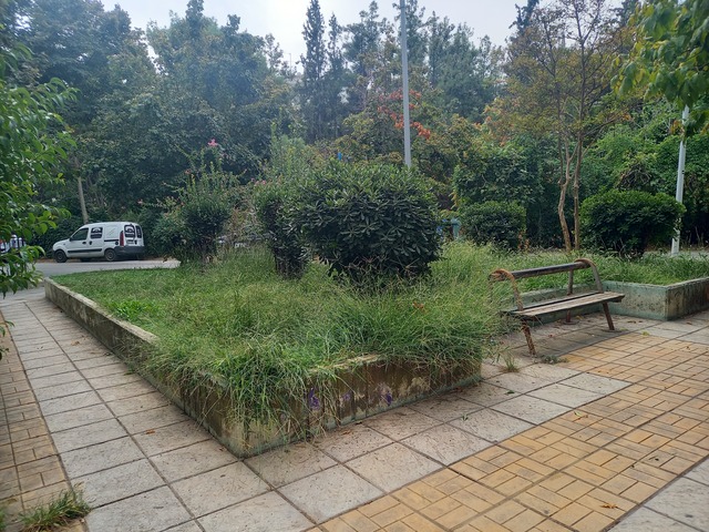 Φωτογραφία 11
