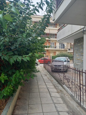 Φωτογραφία 15