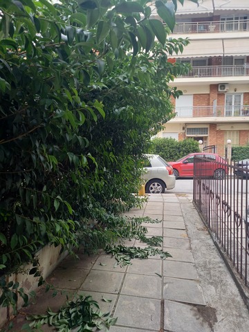 Φωτογραφία 16