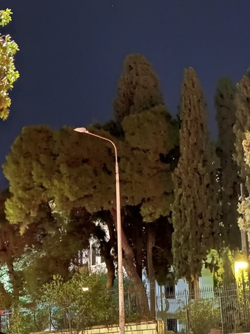 Φωτογραφία 2