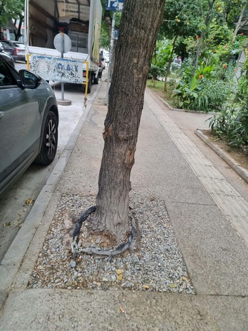 Φωτογραφία 2