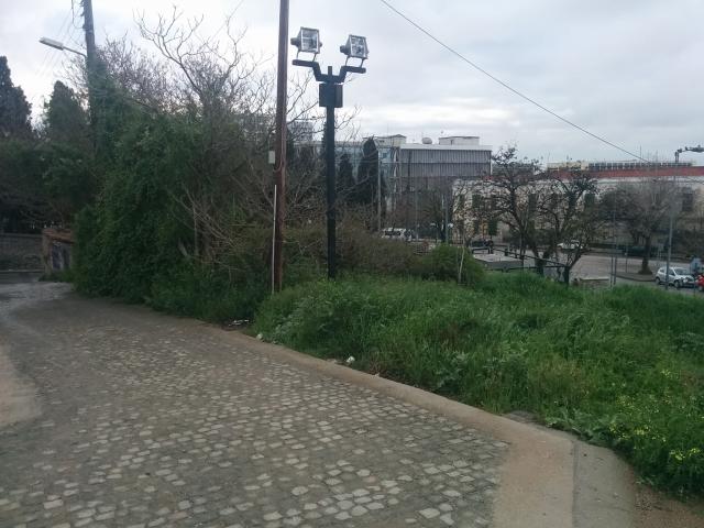 Φωτογραφία 5