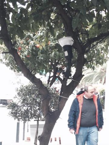 Φωτογραφία 3