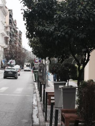 Φωτογραφία 4