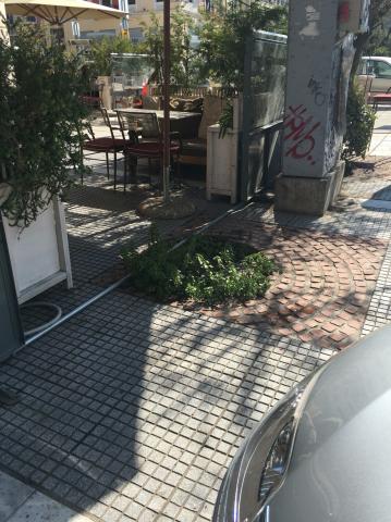 Φωτογραφία 4