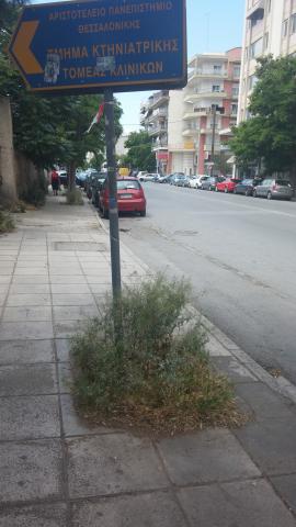 Φωτογραφία 2