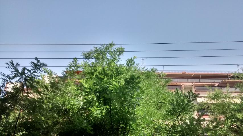 Φωτογραφία 2