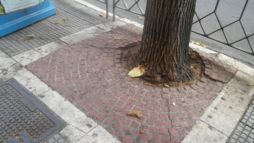 Φωτογραφία 3