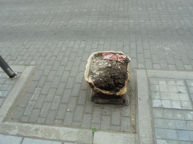 Φωτογραφία 7
