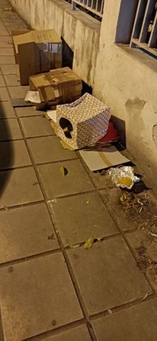 Φωτογραφία 3